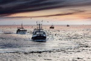 Chalutiers de pêche artisanale rentrant au port