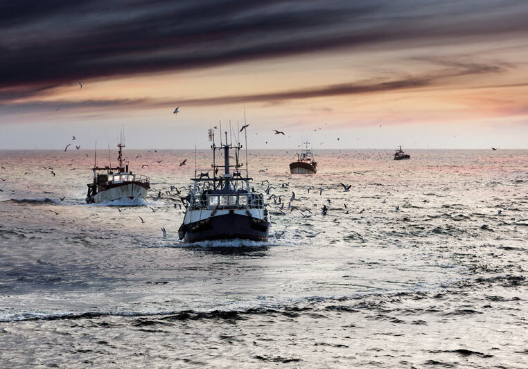 Chalutiers de pêche artisanale rentrant au port